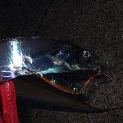 久々のつ抜け！