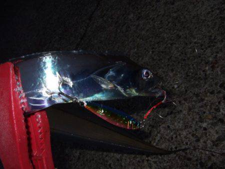 久々のつ抜け！