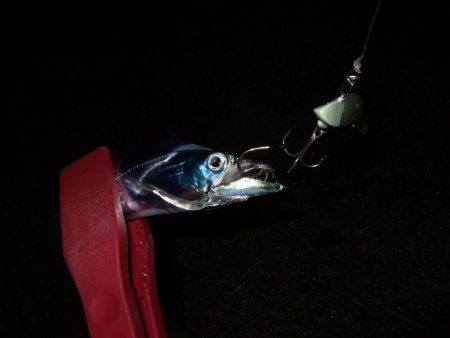 雨の合間に刀狩り