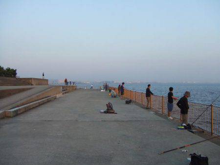 今日だけ？激渋タチウオ