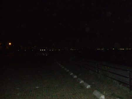 パニックの末のタチウオ