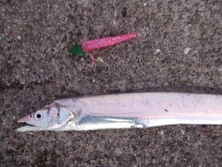 昼タチチャレンジ