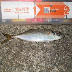 台風が来る前に