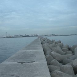 久しぶりに神戸港に