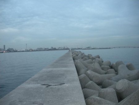 久しぶりに神戸港に