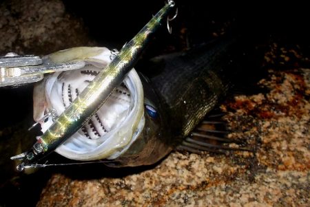 台風通過　跳ね橋　クレイジーナイト