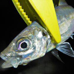 飽きもせずアジ