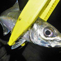 サイズはいいが…