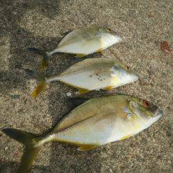 のんびり釣りを満喫♪