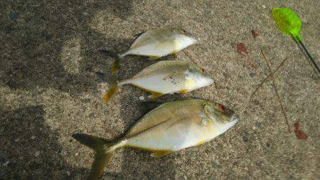 のんびり釣りを満喫♪