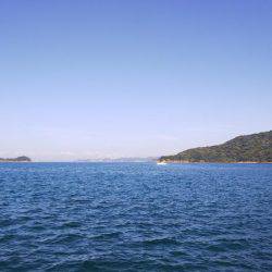 teamゲッソー調査隊