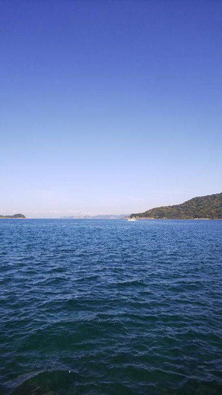 teamゲッソー調査隊