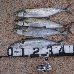 HGリールが欲しい〰❗