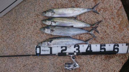 HGリールが欲しい〰❗