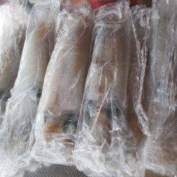 teamゲッソー調査隊