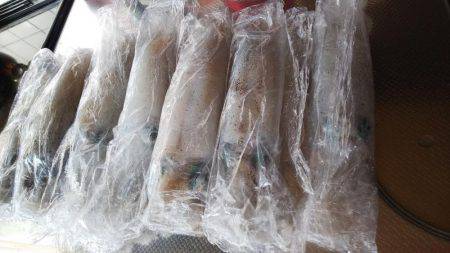 teamゲッソー調査隊