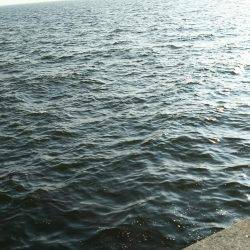 渋かったです。