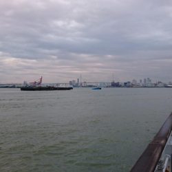 台風後②なんとか