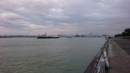 台風後②なんとか