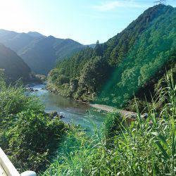 久しぶりの有田川