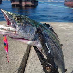 久しぶりの武庫一