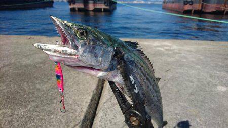 久しぶりの武庫一