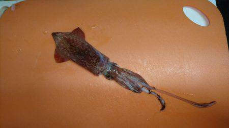 アオリじゃなく、、、