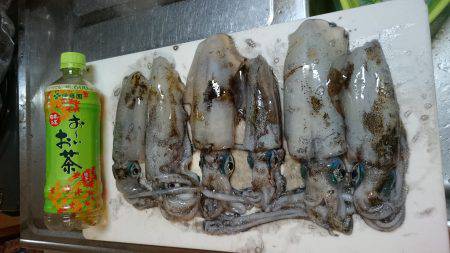 んー。ぼちぼち