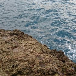 今日は久しぶりのロック