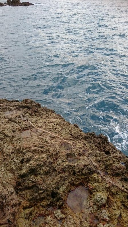 今日は久しぶりのロック