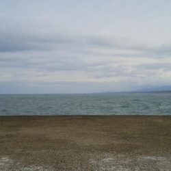 夜明け前から頑張ったものの・・・