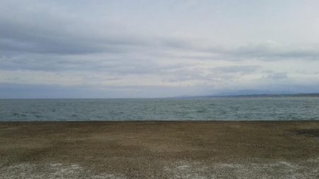 夜明け前から頑張ったものの・・・