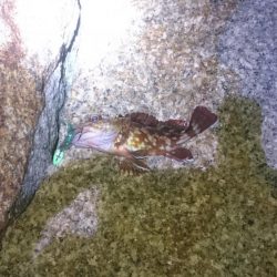 台風が来る前に