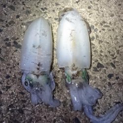 台風の後、仕事終わりに