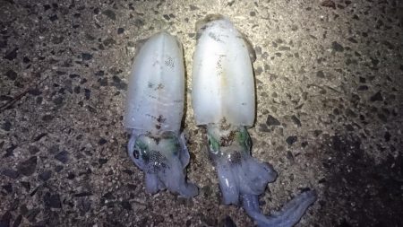 台風の後、仕事終わりに