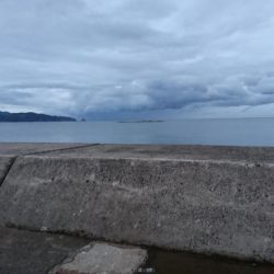 十六島防波堤でのサビキ釣果
