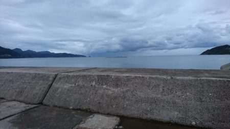 十六島防波堤でのサビキ釣果