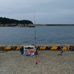 落ちギス狙って再釣行