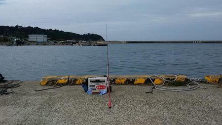 落ちギス狙って再釣行