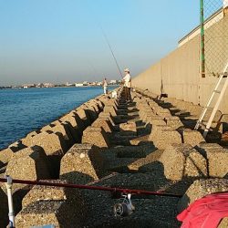 二見へ落ちギス調査②