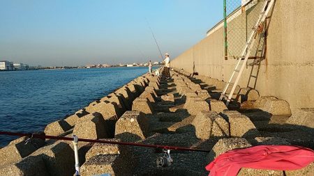 二見へ落ちギス調査②