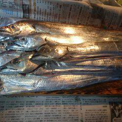 タッチーゲットー