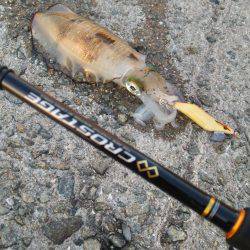 teamゲッソー調査隊