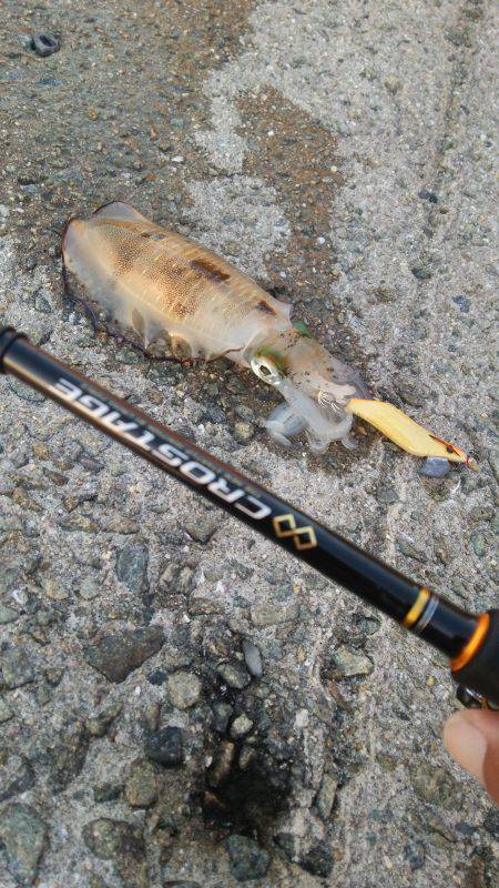 teamゲッソー調査隊