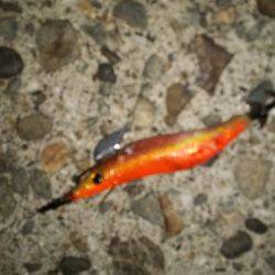 teamゲッソー調査隊