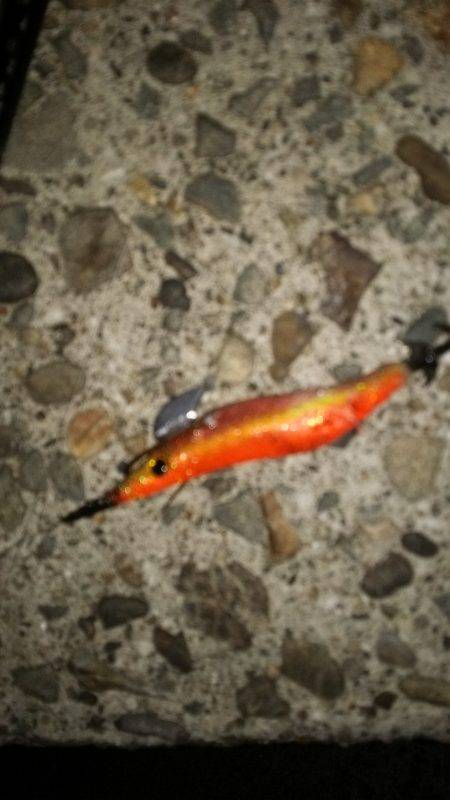 teamゲッソー調査隊