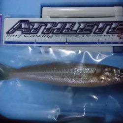 投げ釣り、キス釣り