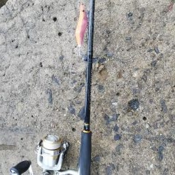 なんとか坊主回避