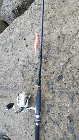 なんとか坊主回避