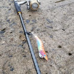 teamゲッソー調査隊